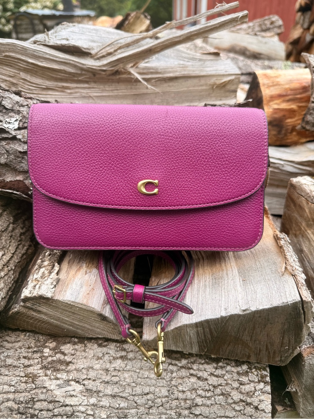 Coach Hayden Crossbody Clutch Bag C4815